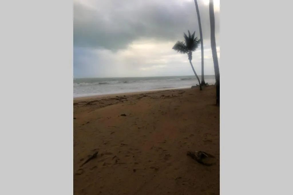 Lägenhet Beachfront Apt Playas Del Yunque